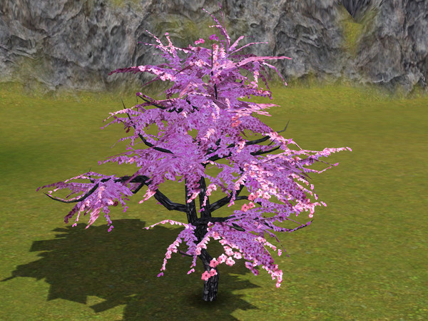 Sims 3 — Small Cherry Tree by sim_man123 — Small Cherry Tree, made by sim_man123 from TSR. TSRAA. Made by request for