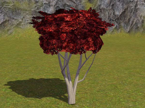 Sims 3 — Japanese Maple Tree - Round by sim_man123 — Round Japanese Maple Tree, made by sim_man123 from TSR. TSRAA. Made