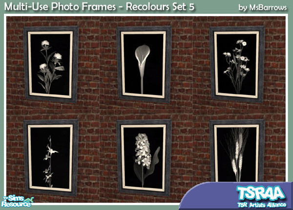 Sims 2 — Multi-Use Photo Frames - Recolours Set 5 by MsBarrows — Six portrait-sized B&W images of flowers and
