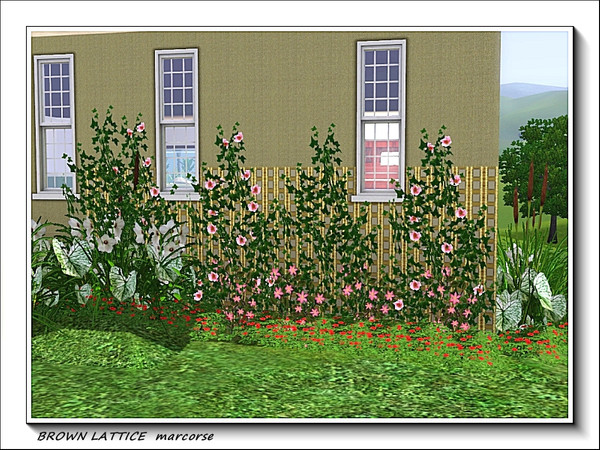 Sims 3 — Brown Lattice pattern by marcorse — A simple textured lattice in deep brown, with a recolourable background.