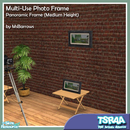 Sims 2 — Multi-Use Photo Frame - Panoramic (Medium) MESH by MsBarrows — Want a picture frame that can be placed on a