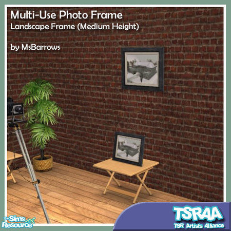 Sims 2 — Multi-Use Photo Frame - Landscape MESH by MsBarrows — Want a picture frame that can be placed on a counter,