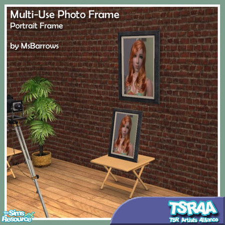 Sims 2 — Multi-Use Photo Frame - Portrait MESH by MsBarrows — Want a picture frame that can be placed on a counter, table