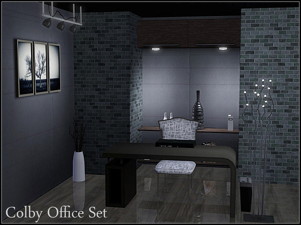 Sims 3 — Colby Office by sim_man123 — A sleek and modern office, designed to give your sims the perfect space in which to