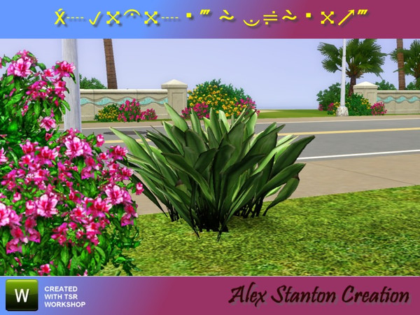 Sims 3 — Aspidistra elatior small by alex_stanton1983 — There is a new plant to decorate your massifs. You wonder about
