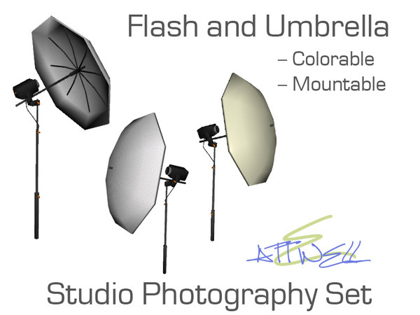 Sims 3 — Flash and Umbrella by mikeaus692 — Flash and Umbrella