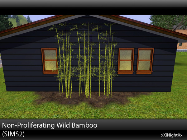 Sims 3 — Non-Proliferating Wild Bamboo (SIMS2) by xiNightXx2 — Decorate your yard with a 1x1 decorative bamboo tree. This