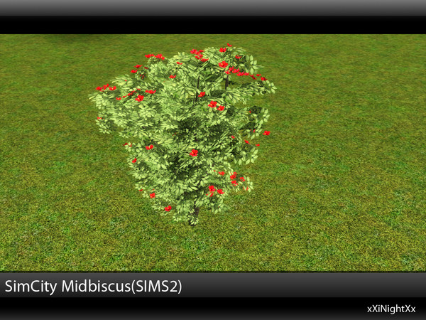Sims 3 — SimCity Midbiscus (SIMS2) by xiNightXx2 — A nice tree from sims 2. This item is located in the trees section in