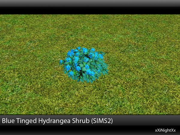 Sims 3 — Blue Tinged Hydrangea Shrub (SIMS2) by xiNightXx2 — Decorate your sims garden with this nice plant from sims 2.