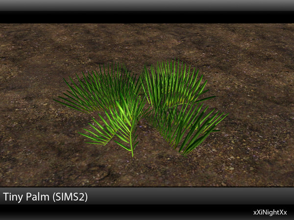 Sims 3 — Tiny Palm (SIMS2) by xiNightXx2 — Tiny palm, a tropical plant from sims 2 bon voyage. Once of my favorite plants