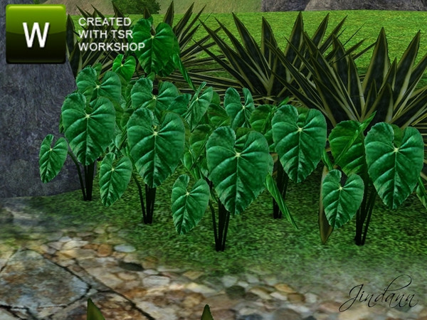 Sims 3 — Anthurium Shrub by Jindann — Collection of plants from Jindann for TSR www.thesimsresource.com/artists/jindann