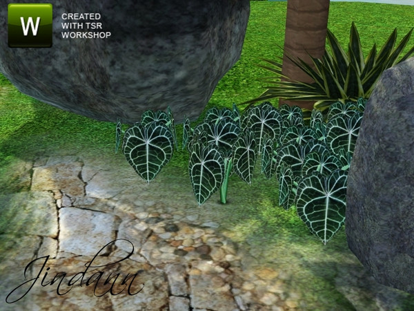 Sims 3 — Elephant Ear Shrub by Jindann — Elephant Ear Shrub is part of Plants Set from Jindann for TSR