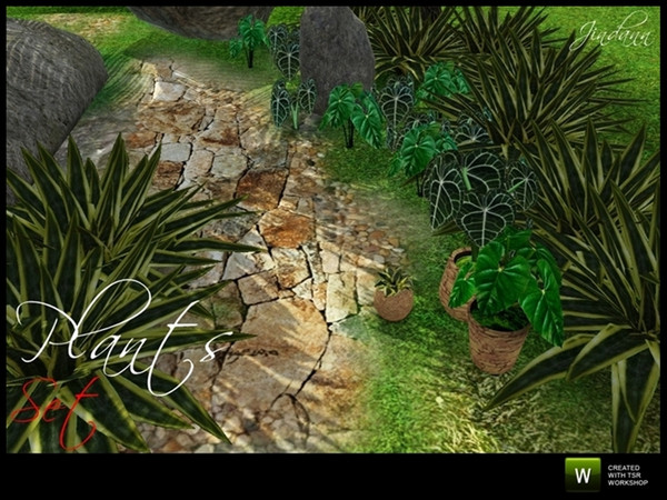 Sims 3 — Plants Set by Jindann — Plants set is a beautiful tropical plants, has two types: decor and shrubs type. In this