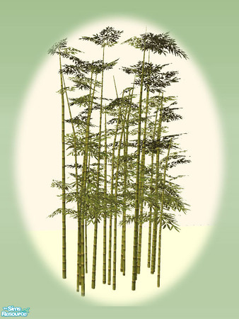 Sims 2 — Taller 2 Tile Bamboo - Mesh by Shakeshaft — Part of a set of objects for you to create an Oriental Style Garden
