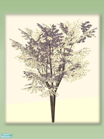 Sims 2 — Oriental Sakura Tree - White by Shakeshaft — Part of a set of objects for you to create an Oriental Style Garden
