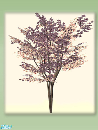 Sims 2 — Oriental Sakura Tree - Mesh by Shakeshaft — Part of a set of objects for you to create an Oriental Style Garden