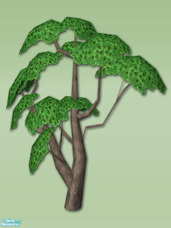 Sims 2 — Bonsai Small Tree - Mesh by Shakeshaft — Part of a set of objects for you to create an Oriental Style Garden for