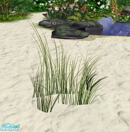 Sims 2 — Aloa Outdoorset - Grass #3 by Murano — Lowpoly grass to cover your meadows