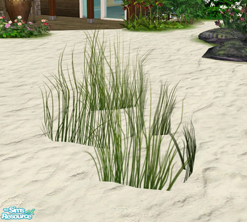 Sims 2 — Aloa Outdoorset - Grass #2 by Murano — Lowpoly grass to cover your meadows