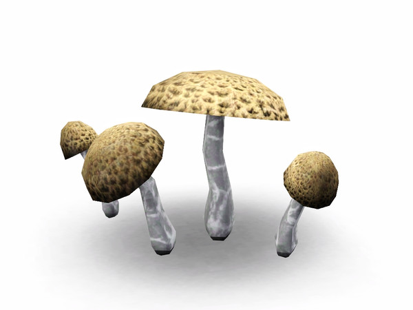Sims 3 — Small Mushrooms by sim_man123 — A small cluster of mushrooms, made by sim_man123 from TSR. TSRAA.