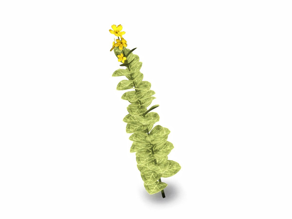 Sims 3 — Cinna Stalk by sim_man123 — A stalk of a variation of a Cinna plant. Made by sim_man123 from TSR. TSRAA.