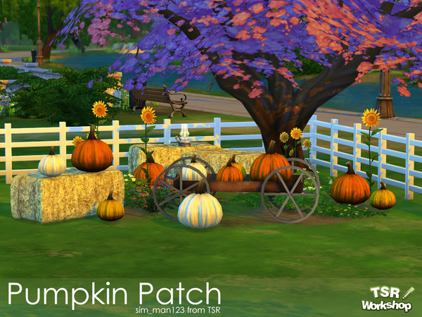 Sims 4 — Pumpkin Patch by sim_man123 — A few simple items to help your sims get read for Autumn! This set features a hay