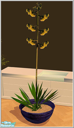 Sims 2 — plant set - B43 Agave by Birgit43 — 