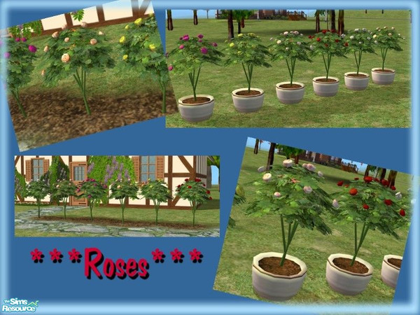 Sims 2 — Rose Tree 04 by simscom — Brought to you by the Sims2 Community Project...Please enjoy this set we have made for