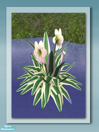 Sims 2 — Flowering Plant - Mesh by Shakeshaft — Part of a set of plants and decorations to bring your ponds to life, all