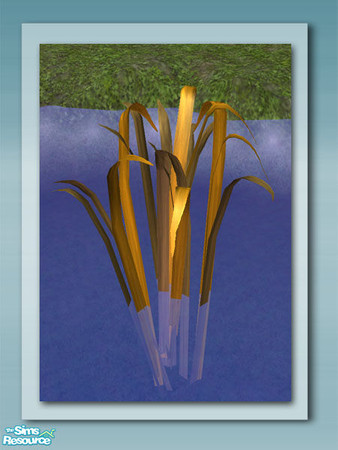Sims 2 — Tall Grass - Recol 01 by Shakeshaft — Part of a set of plants and decorations to bring your ponds to life, all