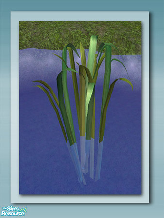 Sims 2 — Tall Grass - Mesh by Shakeshaft — Part of a set of plants and decorations to bring your ponds to life, all