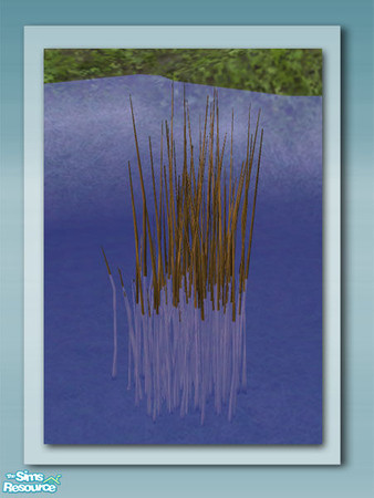 Sims 2 — Water Grass - Recol 01 by Shakeshaft — Part of a set of plants and decorations to bring your ponds to life, all