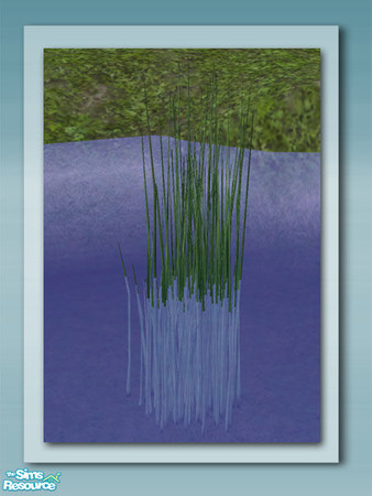 Sims 2 — Water Grass - Mesh by Shakeshaft — Part of a set of plants and decorations to bring your ponds to life, all