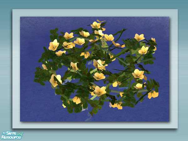 Sims 2 — Flowering Vine - Yellow by Shakeshaft — Part of a set of plants and decorations to bring your ponds to life, all