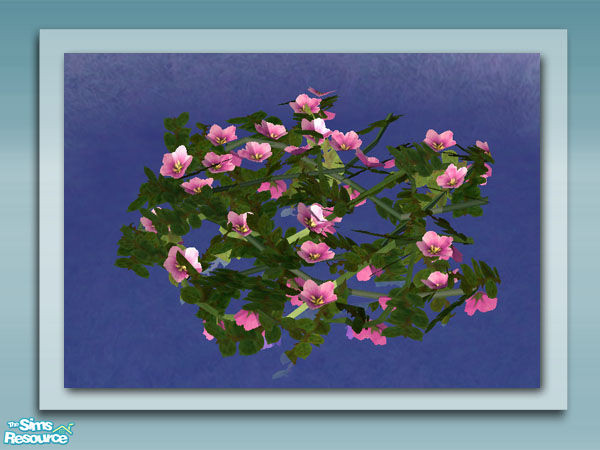 Sims 2 — Flowering Vine - Pink by Shakeshaft — Part of a set of plants and decorations to bring your ponds to life, all