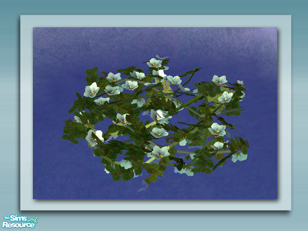 Sims 2 — Flowering Vine - Blue by Shakeshaft — Part of a set of plants and decorations to bring your ponds to life, all