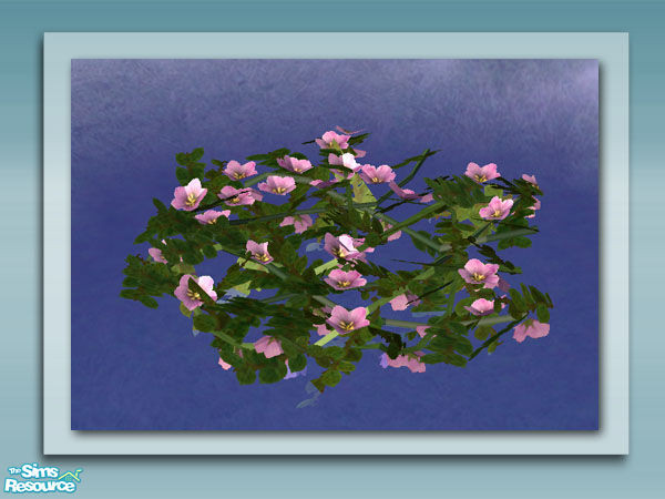 Sims 2 — Flowering Vine - Mesh by Shakeshaft — Part of a set of plants and decorations to bring your ponds to life, all