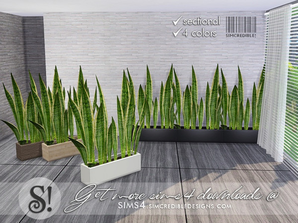 Sims 4 — Solatium snake plant by SIMcredible! — by SIMcredibledesigns.com available at TSR 4 colors variations