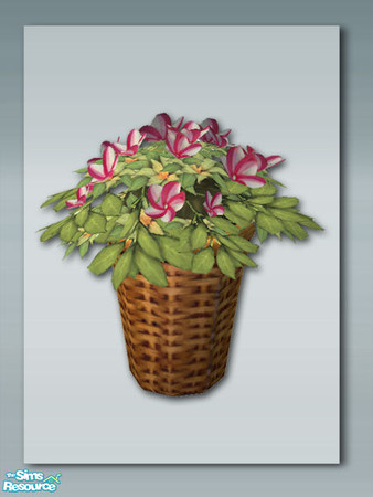 Sims 2 — Rustic Kitchen - Plant by Shakeshaft — Part of a Rustic style kitchen set with 13 new meshes and 6 recolours,