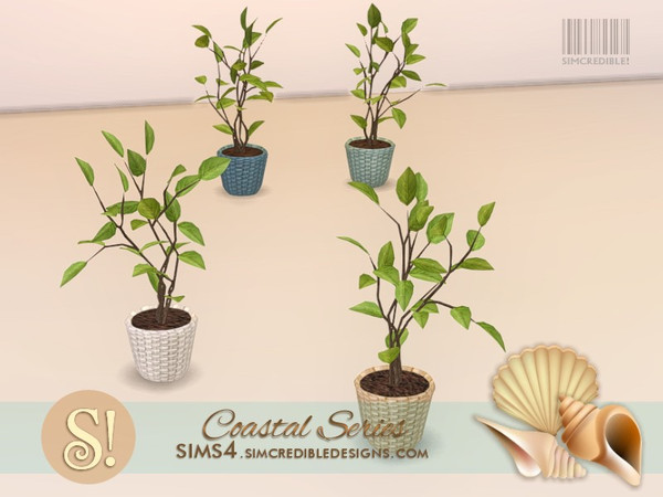 Sims 4 — Coastal Plants 10 Bay leaf by SIMcredible! — by SIMcredibledesigns.com available at TSR 4 colors variations 