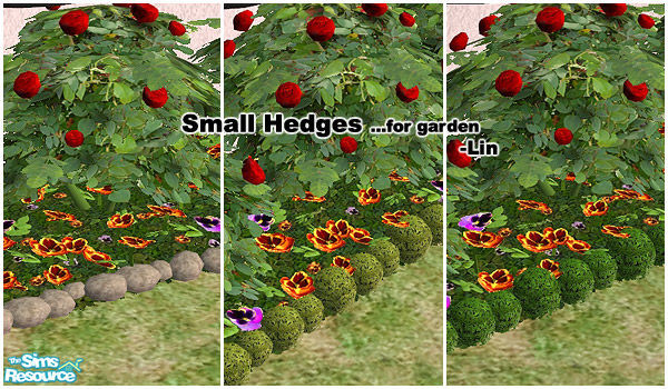 Sims 2 — Small Hedges by H.Lin — you need at least one EP to use this.