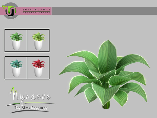 Sims 4 — Erin Plants - Hosta Plant by NynaeveDesign — Erin Plants - Hosta Plant Located in: Decor - Plants Price: 226