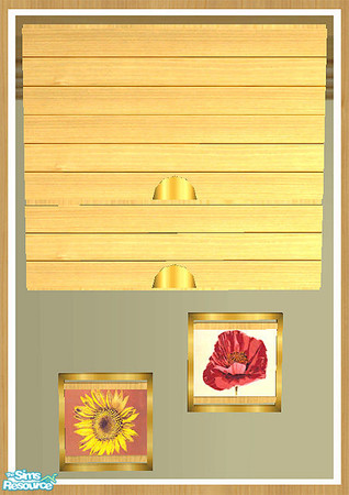 Sims 2 — MAXIMO Wall Cabinet - Pictures by simtomatic — This file recolours the pictures only. You will need the master
