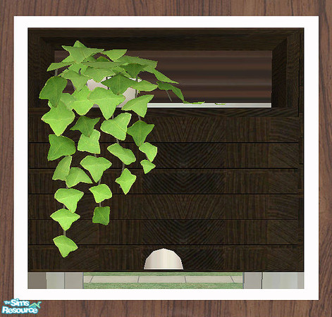 Sims 2 — MAXIMO Wall Cabinet - Ivy by simtomatic — You'll need to download the counter to be able to use this file.