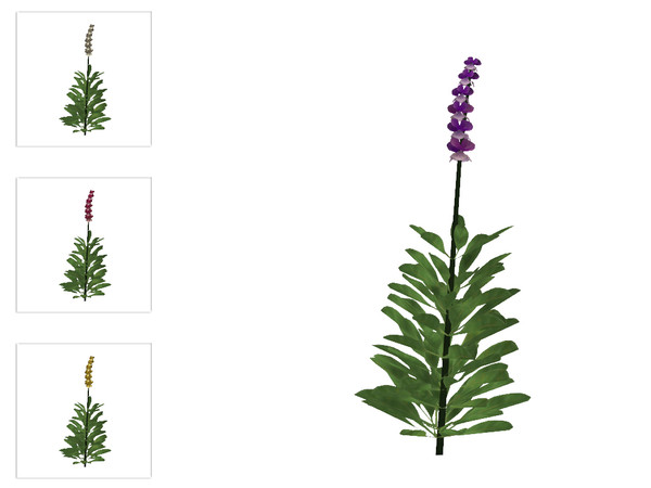 Sims 4 — Coastal Lupine 3 by sim_man123 — A lupine plant, as part of my Coastal Beach Plants. 