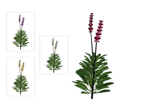 Sims 4 — Coastal Lupine by sim_man123 — A small coastal lupine plant, as part of my Coastal Beach Plants set.