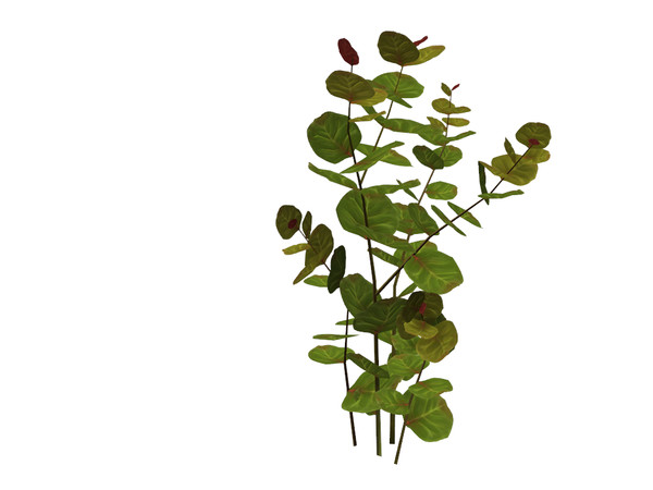 Sims 4 — Large Sea Grapes by sim_man123 — A large version of my Sea Grapes plant, as part of my Coastal Beach Plants set.