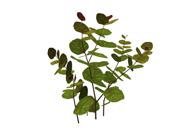 Sims 4 — Medium Sea Grapes by sim_man123 — A medium size version of my sea grapes plant, as part of my Coastal Beach