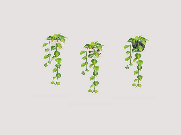 Sims 4 — Kitchen Anukoi - Plant by ung999 — Kitchen Anukoi - Plant Color Options : 3