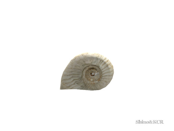 Sims 4 — Study Sara - Shell by ShinoKCR — Study Furniture giving you a beachy feeling find it in Clutter